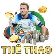 Hai chú gà chọi đang đối đầu trong trận đấu